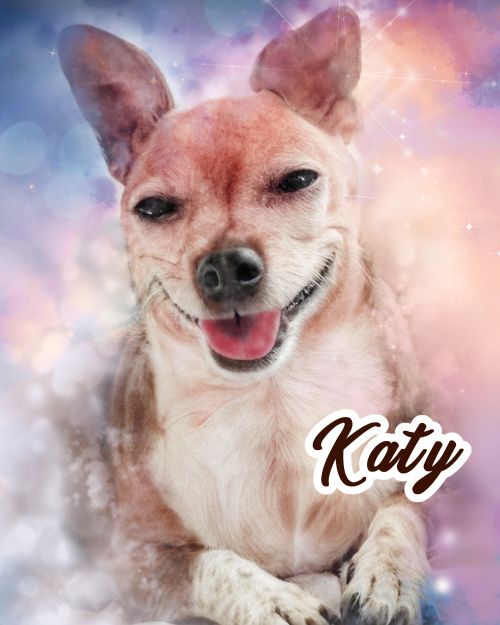 imagen de ELABORACIÓN DE RETRATOS DE MASCOTAS con id 32043