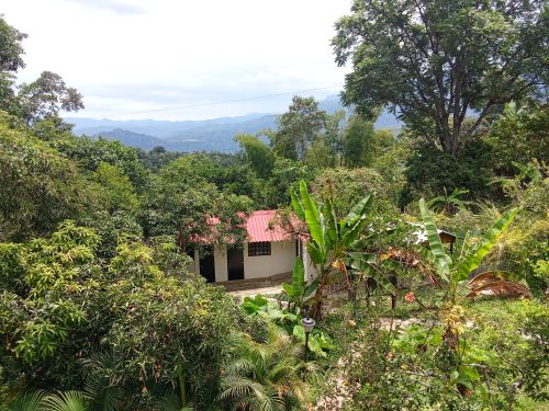 imagen de ARRIENDO FINCA DE 800M2 CON VIVIENDA 56m2 con id 32891