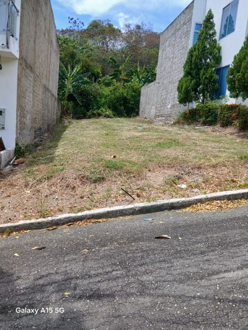 imagen de Lote con id 32926