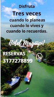 imagen de Hotel Magüipí con id 33547