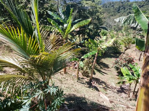 imagen de vendo hermosa finca en San Juan de Rioseco Cund con id 34393