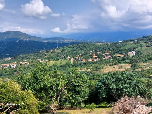 imagen de Vendo o permuto finca en Anapoima Cundinamarca con id 34506