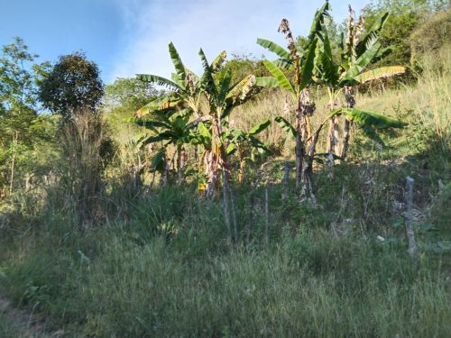 imagen de VENDO LOTE PUBENZA con id 34520