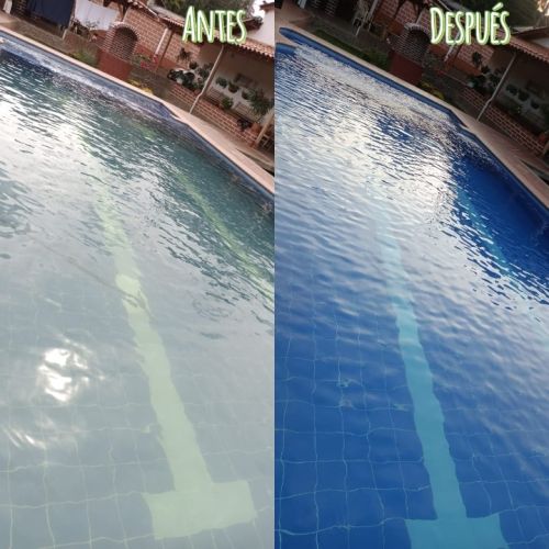 imagen de Servicio de piscinero  con id 34587