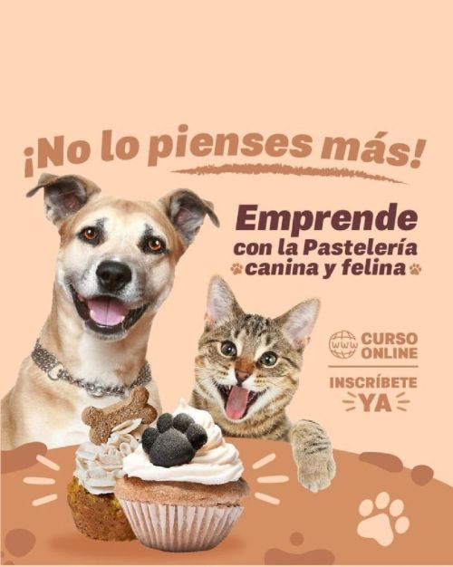 imagen de curso de pastelería canina y felina con id 34695