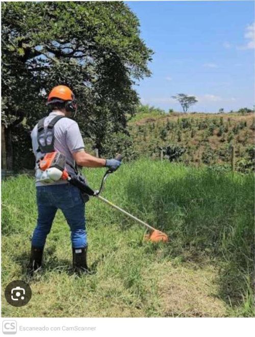 imagen de Servicio de jardinería  con id 34720