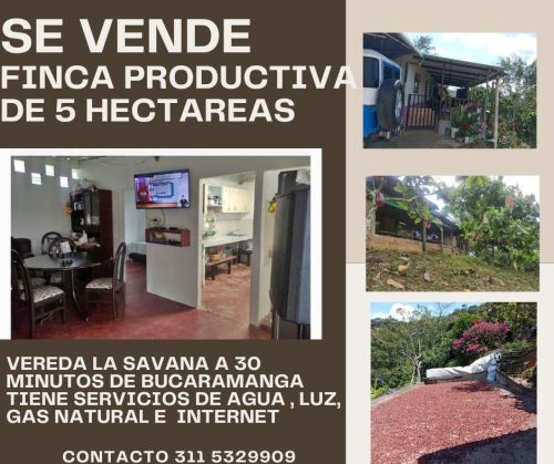 imagen de VENDO FINCA DE 5 HECTAREAS con id 34734