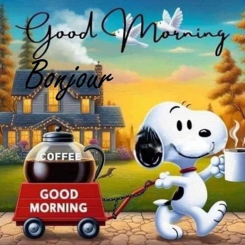 imagen de Clases de inglés y francés online con id 34919
