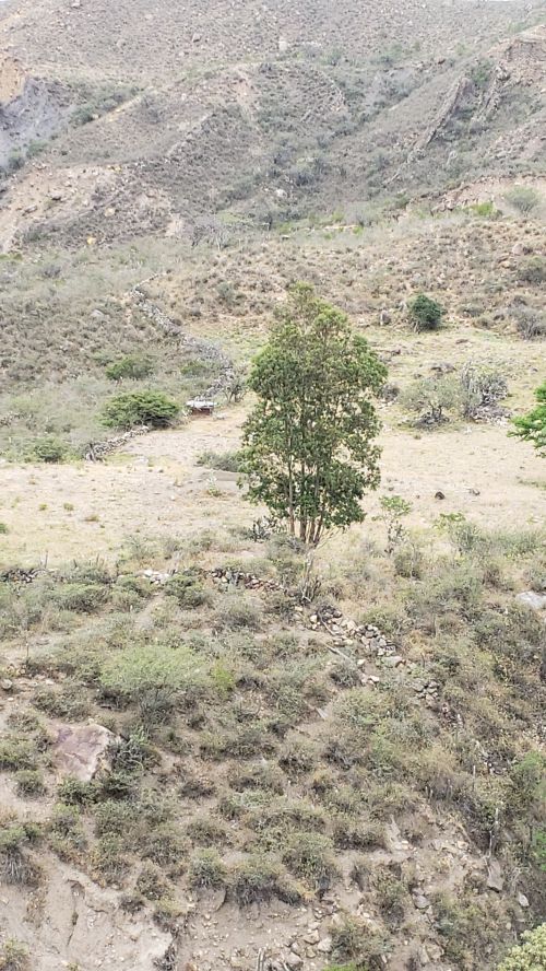 imagen de vendo terreno en boavita boyaca con id 35029