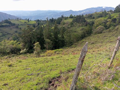 imagen de Se vende o permuta Finca en Guateque - boyacá  con id 35160