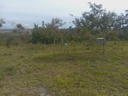 imagen de Vendo parcela con id 35334