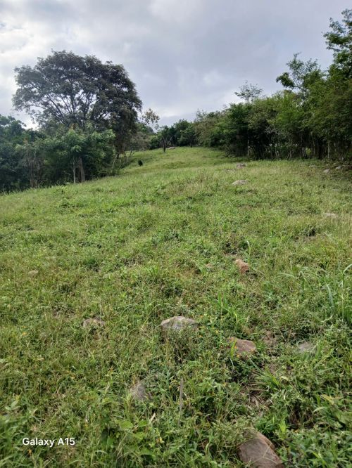 imagen de Vendo Lotes En La Mesa con id 35406