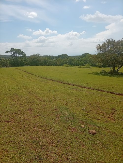 imagen de Vendo lotes  con id 35511