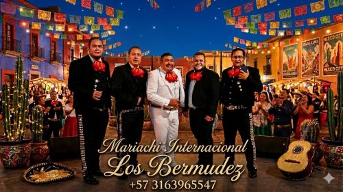 imagen de Servicio de mariachis profesional  con id 35528