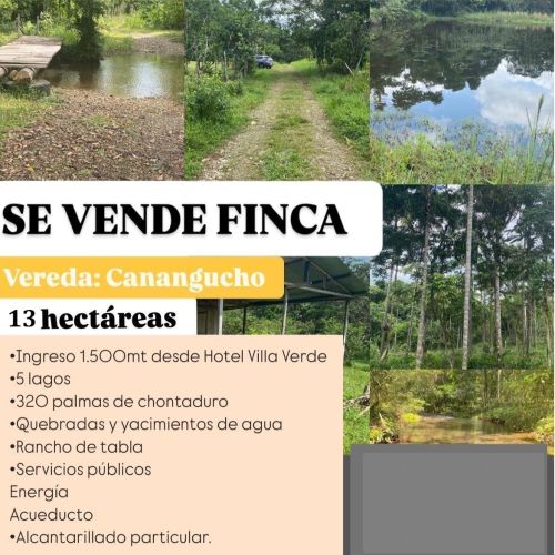 imagen de SE VENDE FINCA CON AGUA PROPIA – PUTUMAYO con id 35575