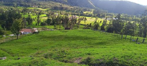 imagen de Venta espectacular finca Iza Boyaca 13800 M2 con id 35638