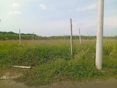imagen de LOTE 74,8 MTS2  con id 35666