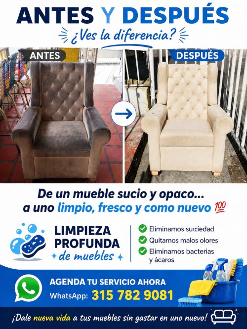 imagen de Limpieza en seco  con id 35678