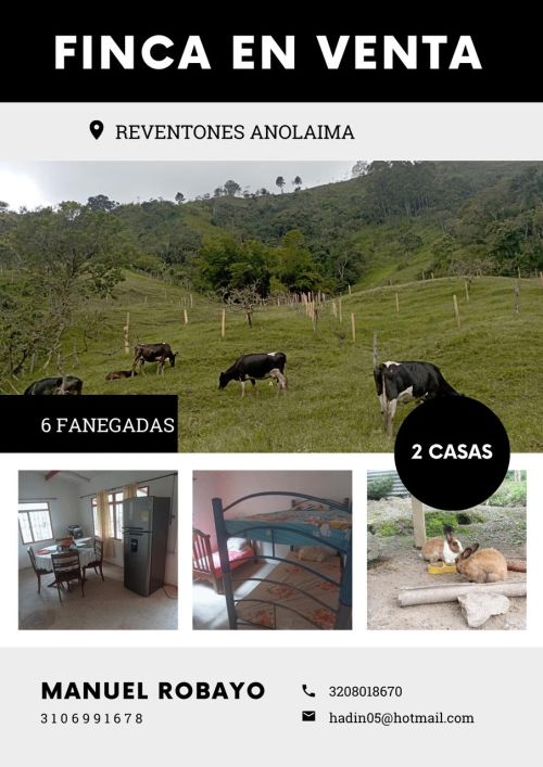 imagen de VENTA DE FINCA EN CUNDINAMARCA CERCA ANOLAIMA con id 36148