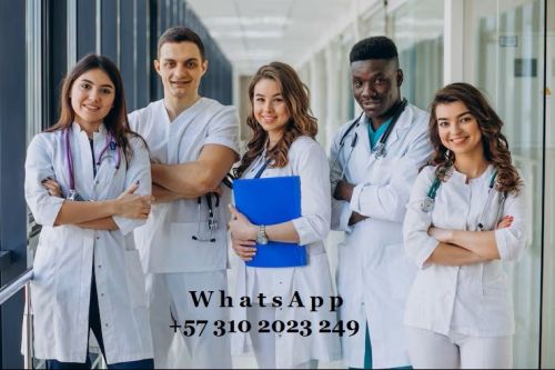 imagen de Aprende italiano mientras avanzas en tu carrera con id 36281