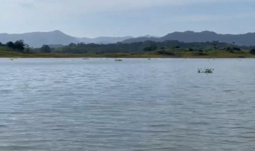 imagen de VENTA FINCA AGROINDUSTRIAL DE 1.000 HECTÁREAS  con id 36464