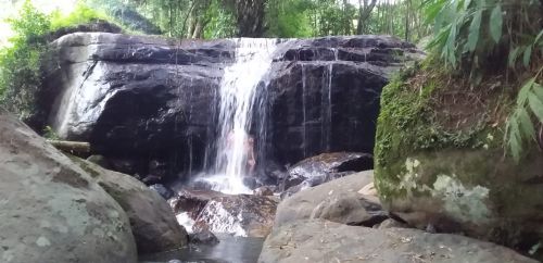 imagen de Finca en Namay Bajo Albán Cundinamarca con id 36500